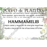 Polvo de Hammamelis
