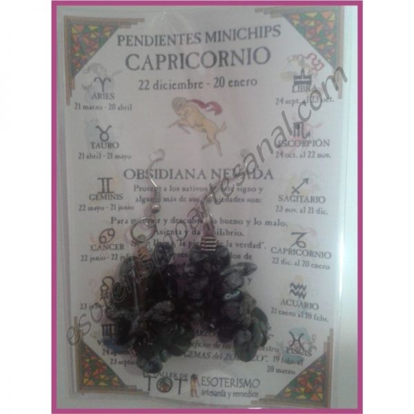CAPRICORNIO - PENDIENTES minerales minichips