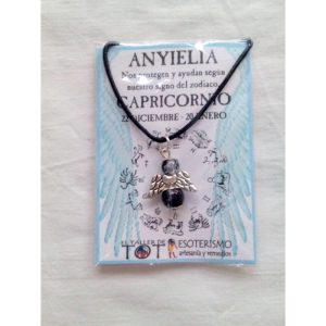 ANYELIA - CAPRICORNIO - Babyguard del Zodiaco