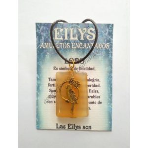 EILY - LORO - rectángulo - 03